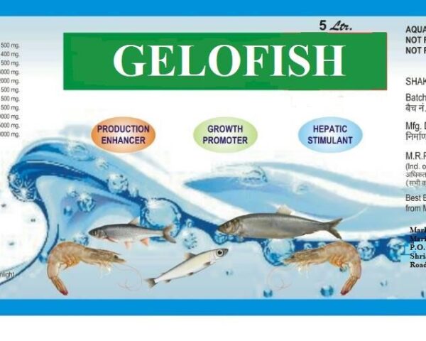 Gelofish