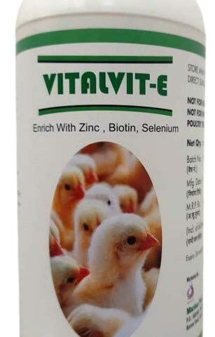 Vitalvit – E