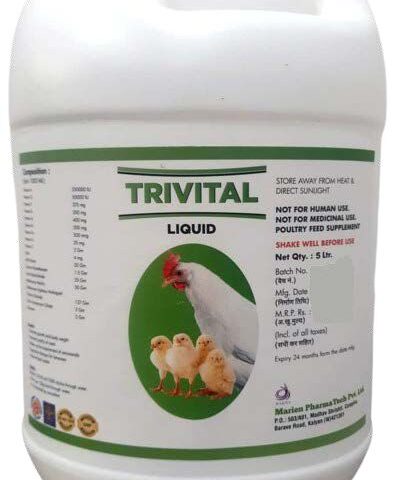 Trivital