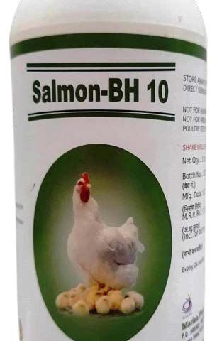 Salmon-BH-10